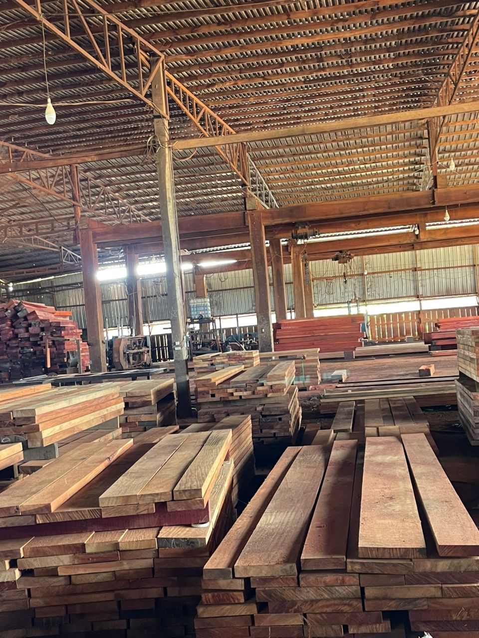 Grumes bois Cameroun